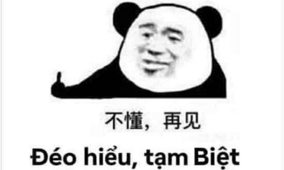 888+ meme gấu trúc bựa weibo cute, biểu cảm hài hước nhất