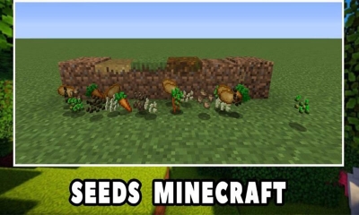 Top 7 seed Minecraft tuyệt đẹp đáng trải nghiệm nhất hiện nay