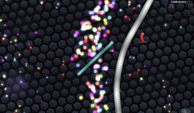2game_18_5_Slither.io_4