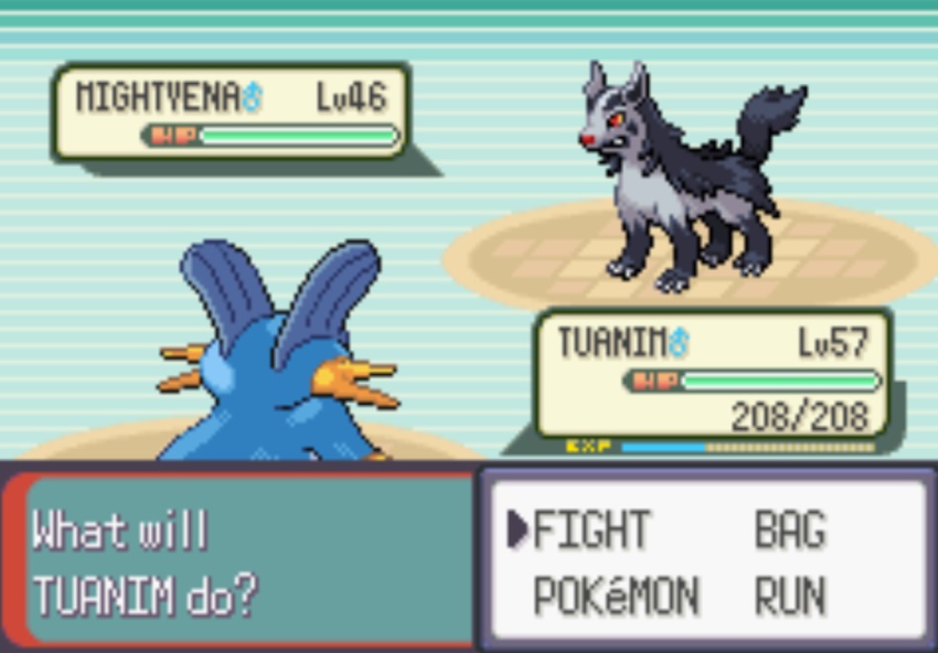 A-screenshot-of-Pokemon-Emerald (1)